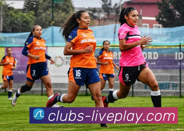 真人游戏官网服务体系